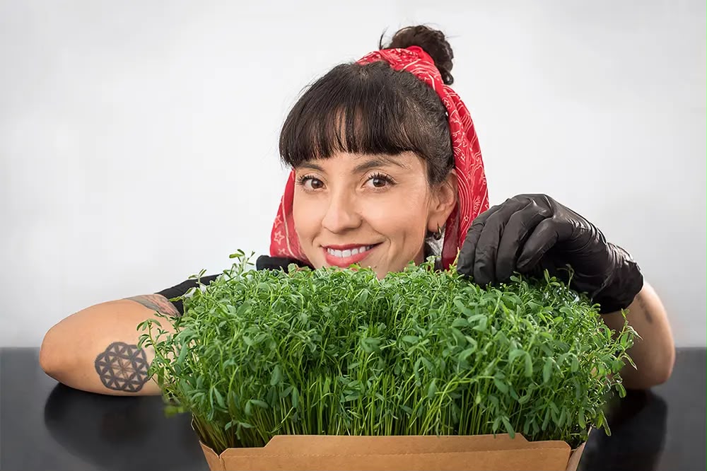 Alejandra Toloza, pionera en la profesionalización de la cocina basada en plantas